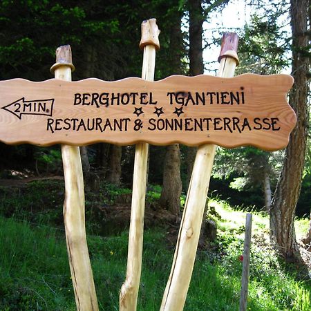 Berghotel Tgantieni Lenzerheide Bagian luar foto